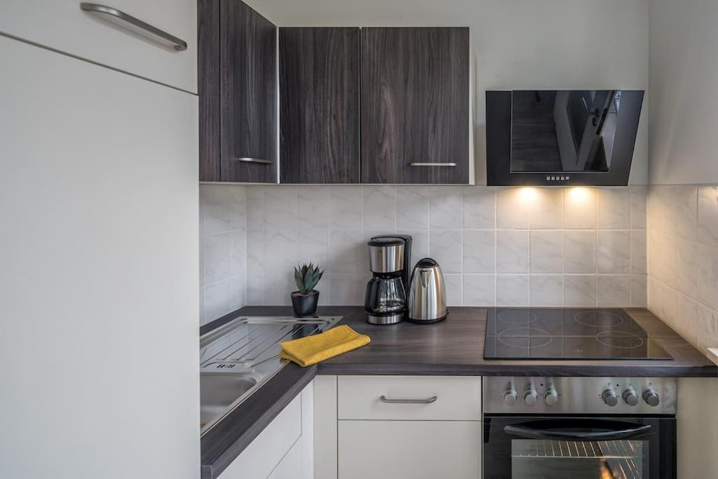Cozy Apartment I Zentrumsnah I Wlan Dresda Exterior foto